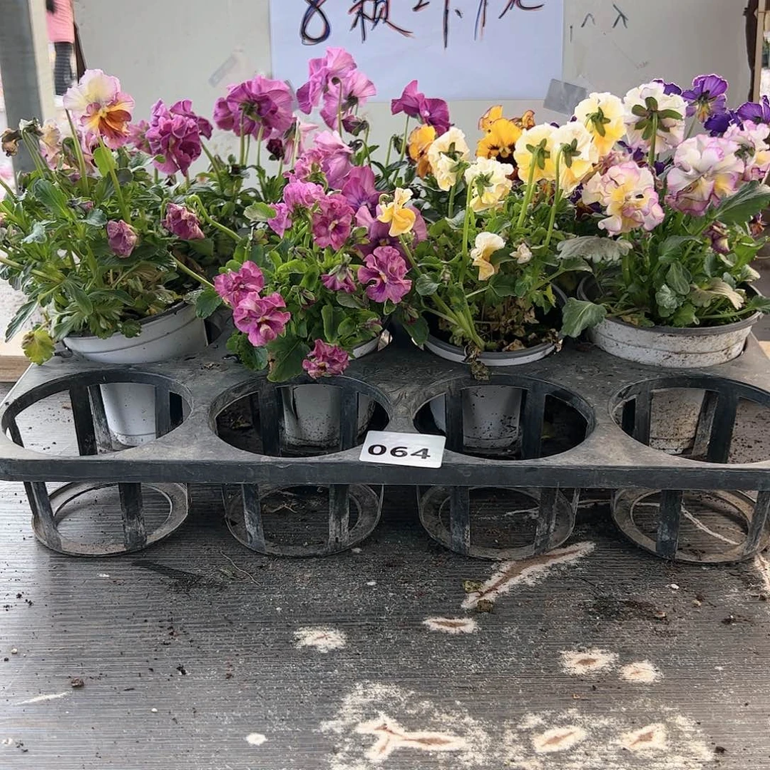 【闪购商品】064号