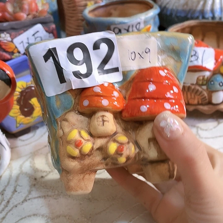 多肉花盆满15包邮