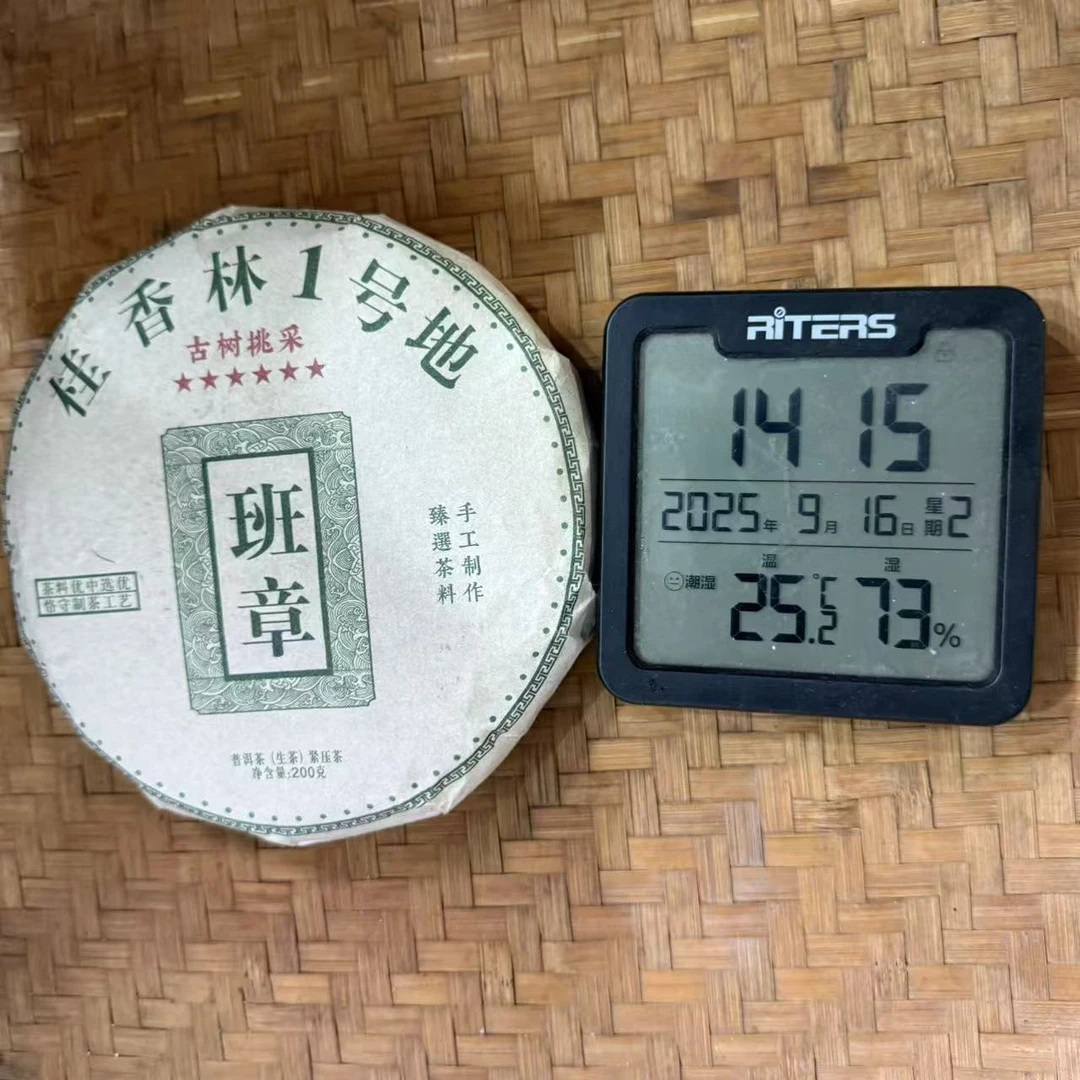2025年班章桂香林1号地古树挑采普洱生茶饼200克GMQ12号9月16日