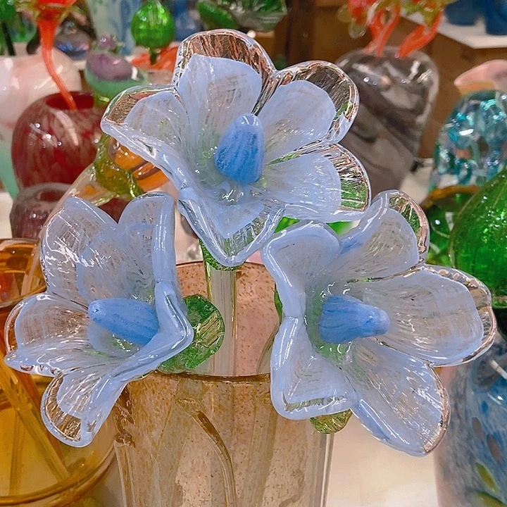 琉璃琉璃花高50口9