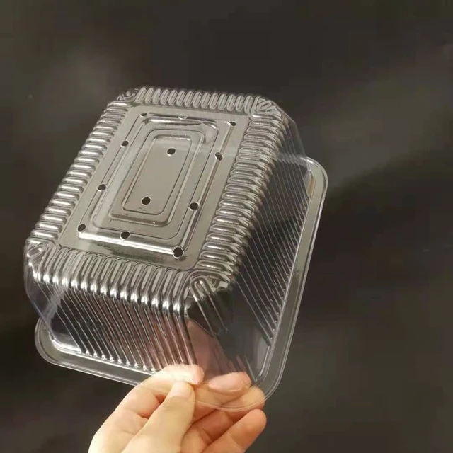 带孔豆苗托盘19*16*8带盖芽菜种植盒漏水孔塑料盒一次性塑料