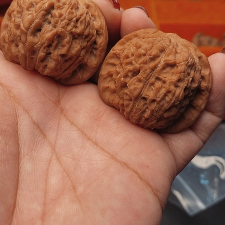 核桃血麒麟41尺核桃