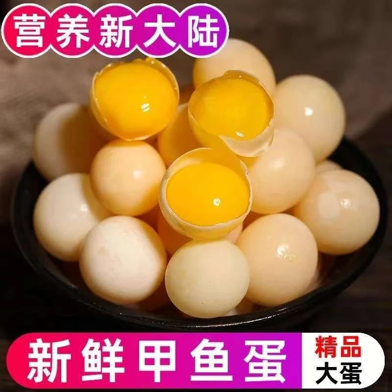 新鲜甲鱼蛋100枚送20枚防破损（赠送菜谱)