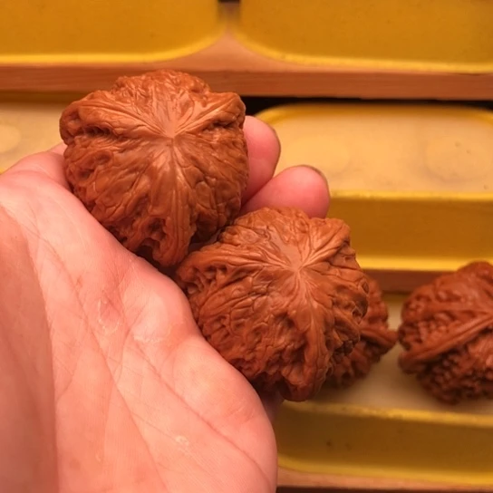 文玩核桃吊坠R****4核桃