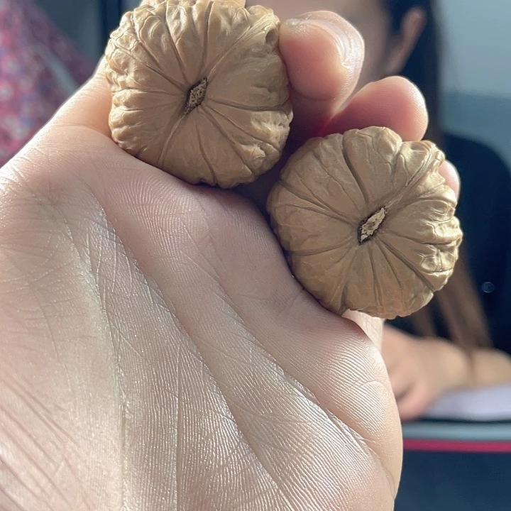 ****࿐文玩核桃吊坠南瓜