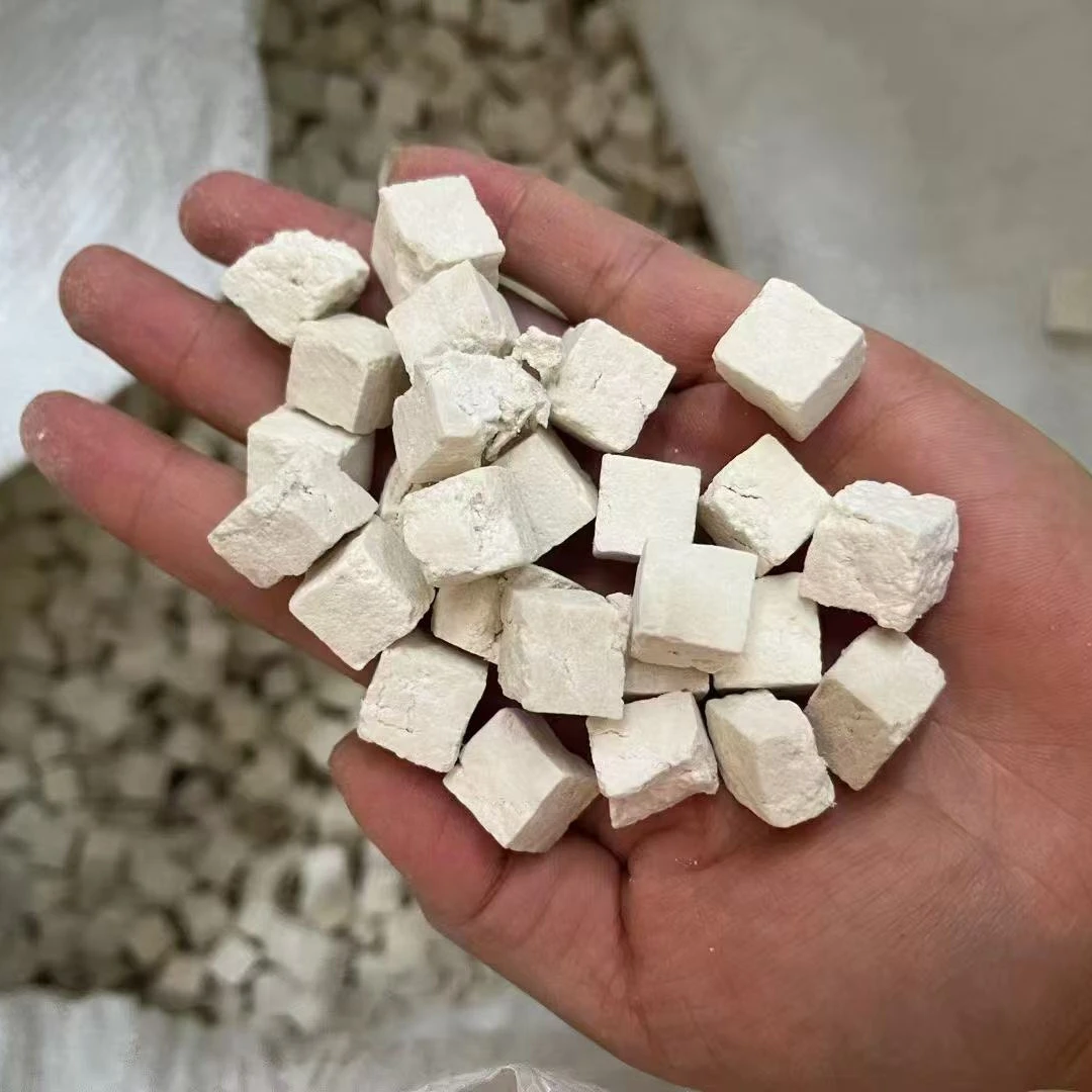 云南深山茯苓中心丁