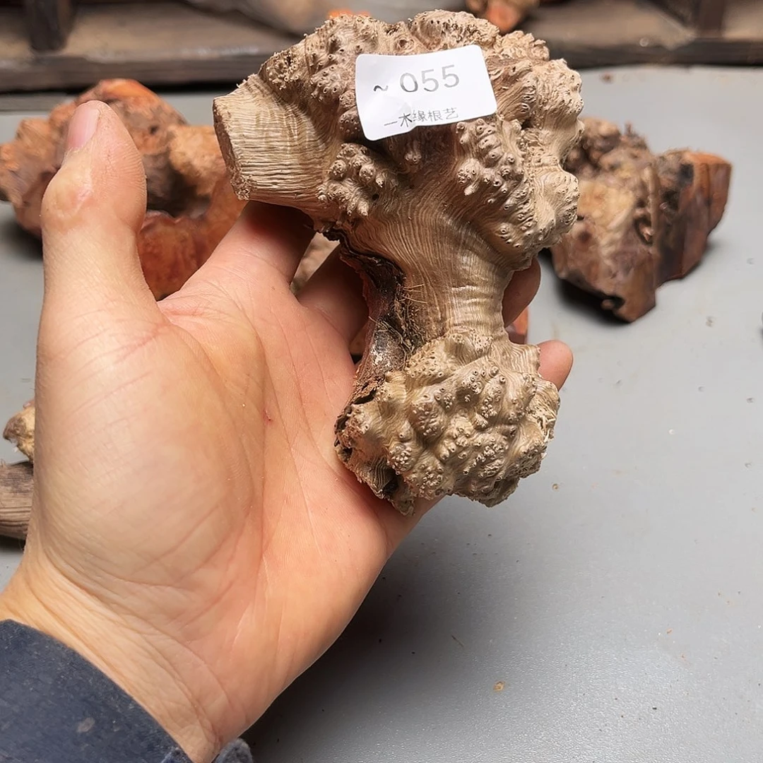 庆***年无花朵000000000055