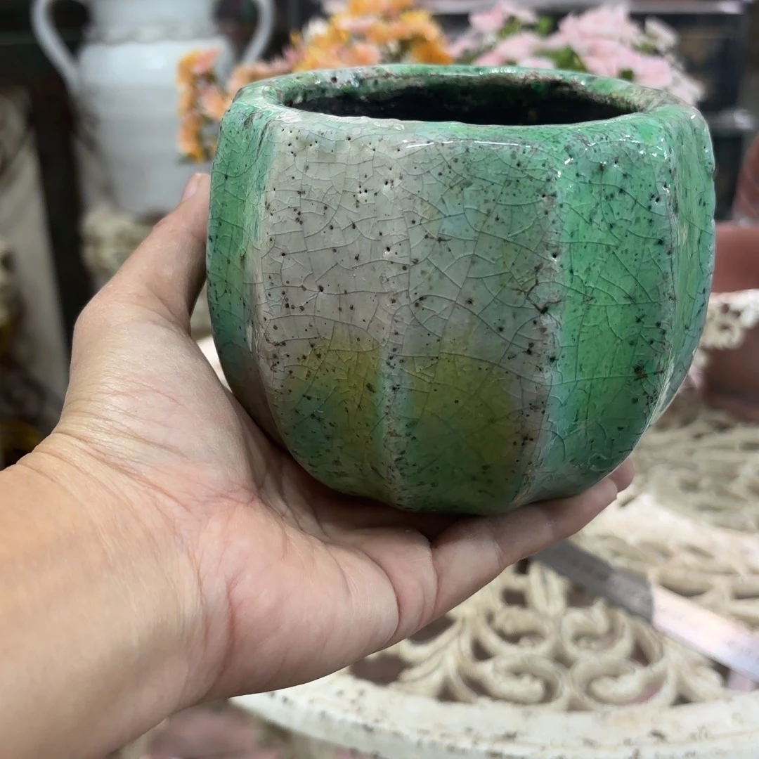 许纯的花房孤品665