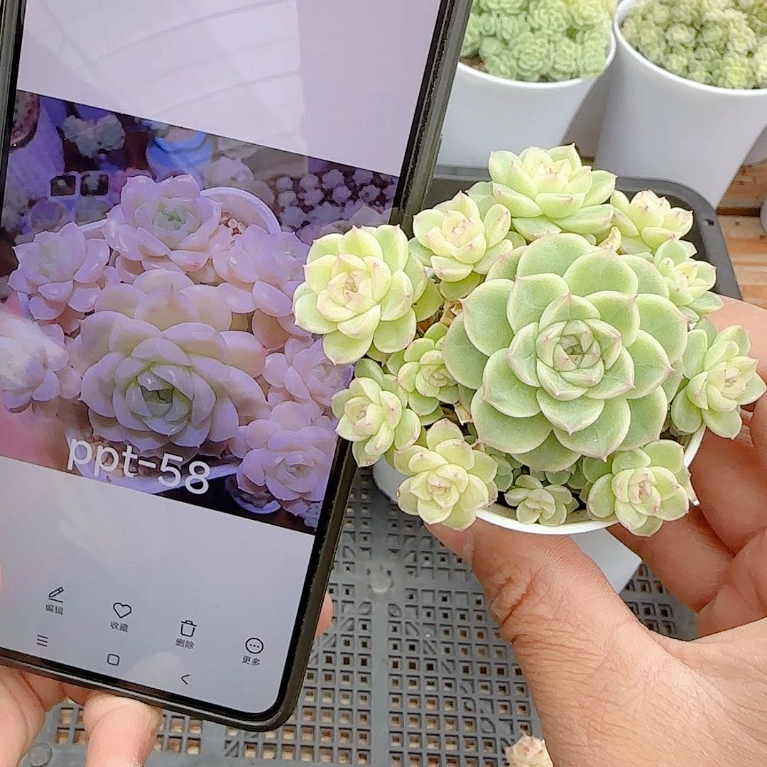 1105-63（ppt-58）优选