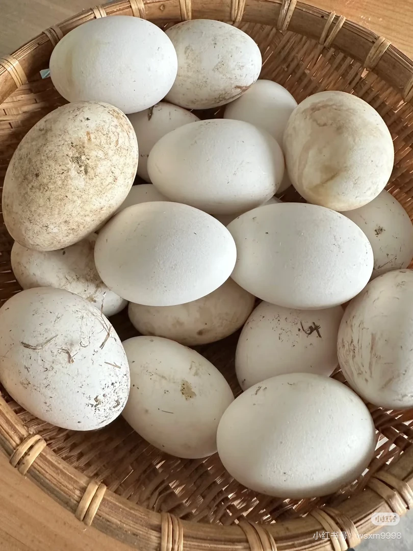 湘西农家新鲜鹅蛋