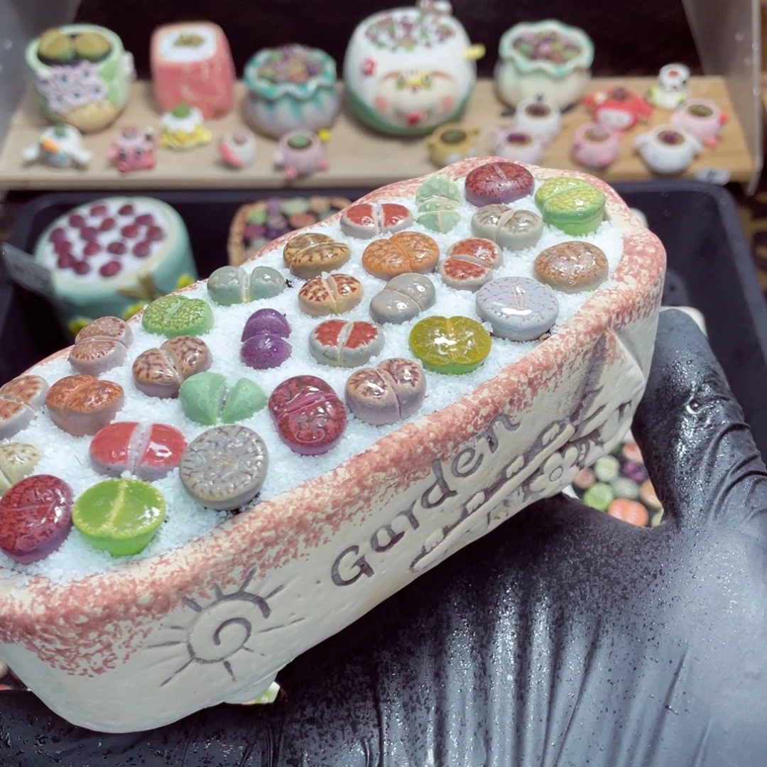 夜间零下地区拍保温箱w1809