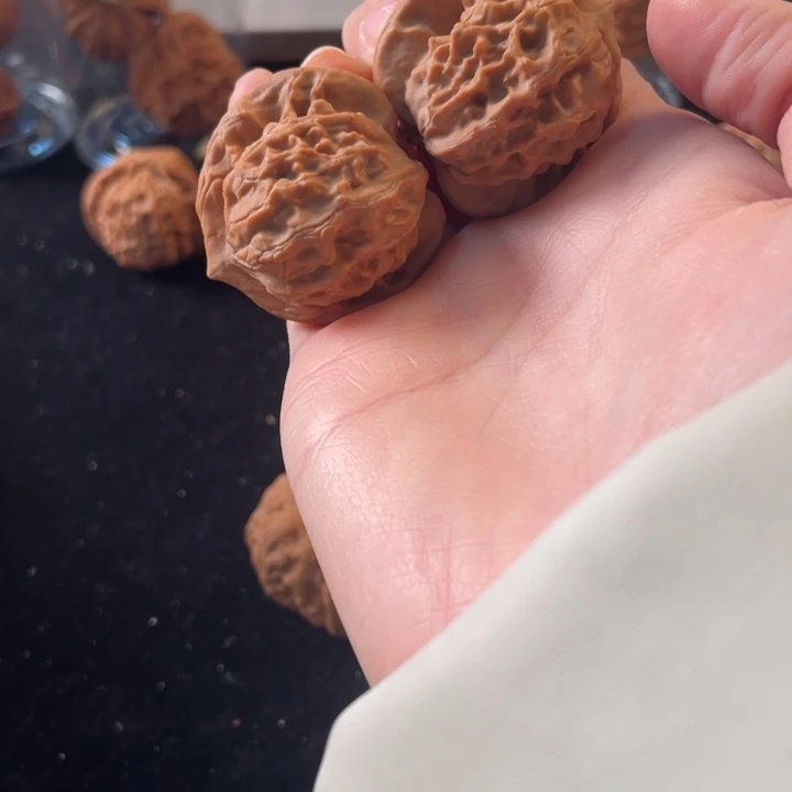 大叶紫檀（黑酸枝木类）