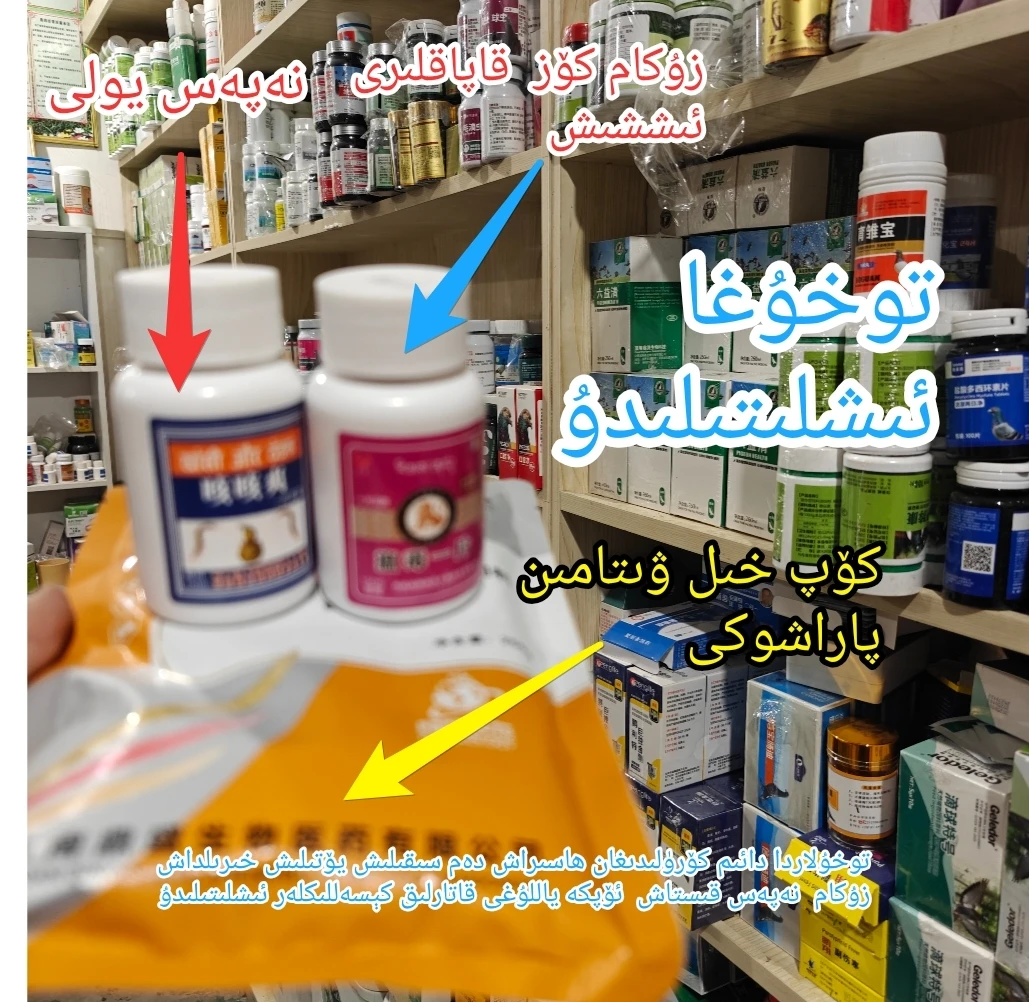 ALTunToga 养鸡 ﺗﻮﺧﯘ ﺯﯗﻛﺎﻡ ﻧﻪﭘﻪﺱ ﻳﯜﺭﯛﺷﻠﯜﻛﻰ zukam napas