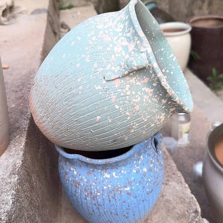 微瑕花盆啦啦来啦啦啦