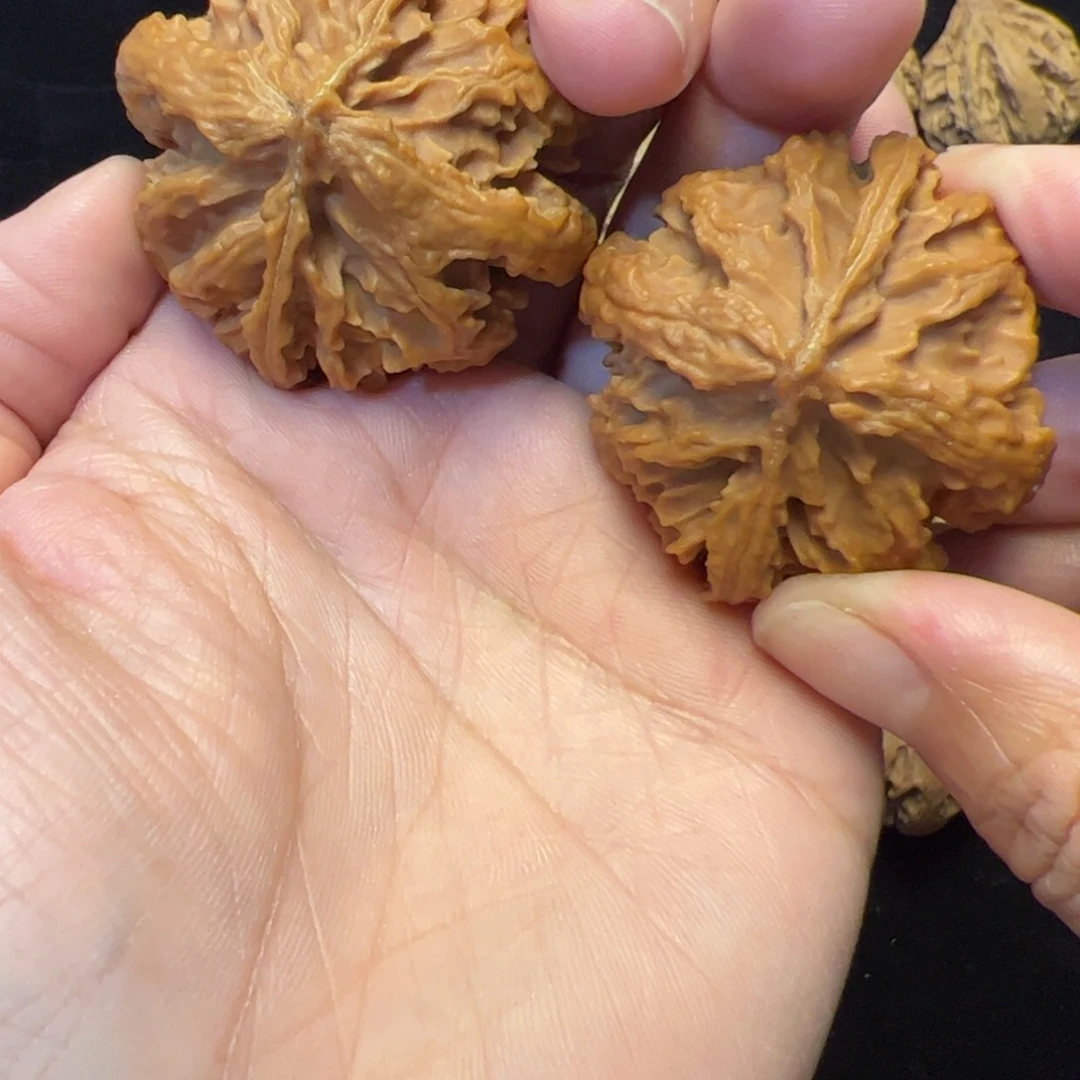 文玩核桃把件秦岭野生文玩核桃