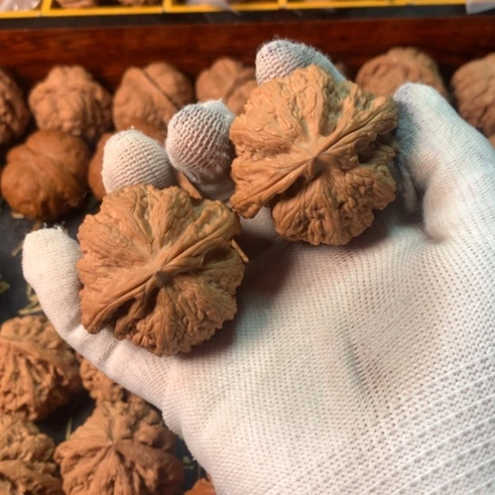 我****大文玩核桃大粗筋