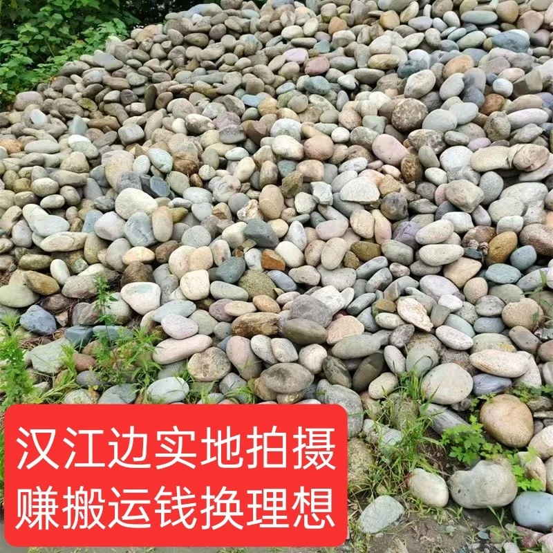 汉江天然鹅卵石原石用于庭院铺路花园装饰及鱼缸造景