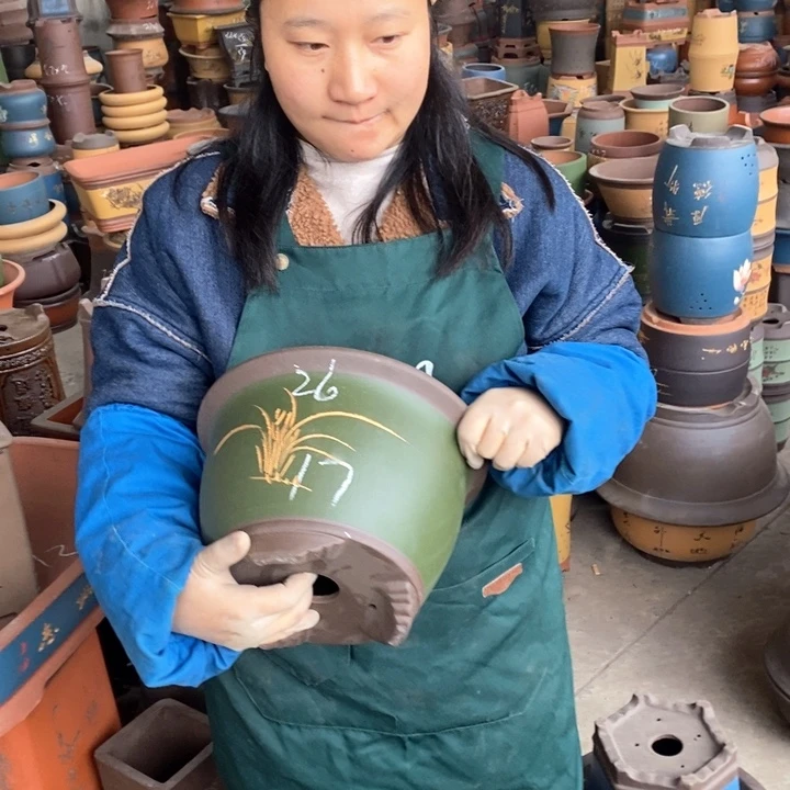 紫砂花盆盆栽花卉苗木种植