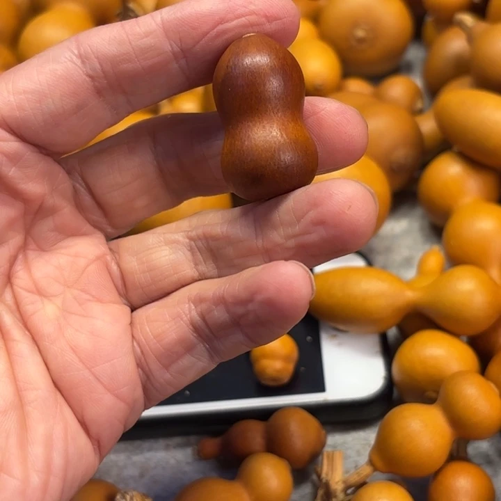 林****^吉林的一把纸皮纸皮草李金葫芦