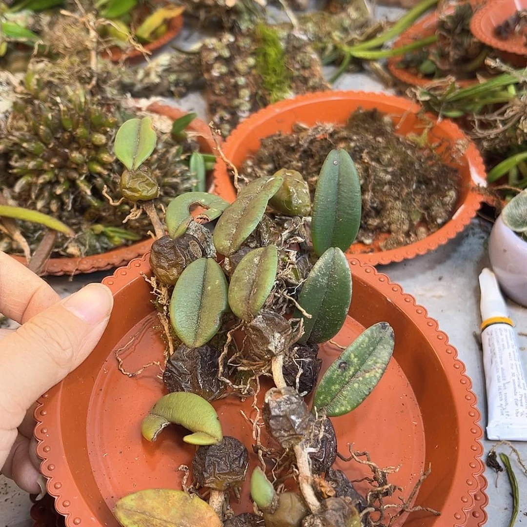 用****632。。。。。。。。。。。。。。。。。