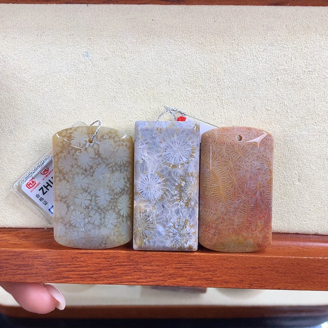 吊坠(赠链)未镶嵌硅化珊瑚（珊瑚玉）9号吊坠一个30米可挑