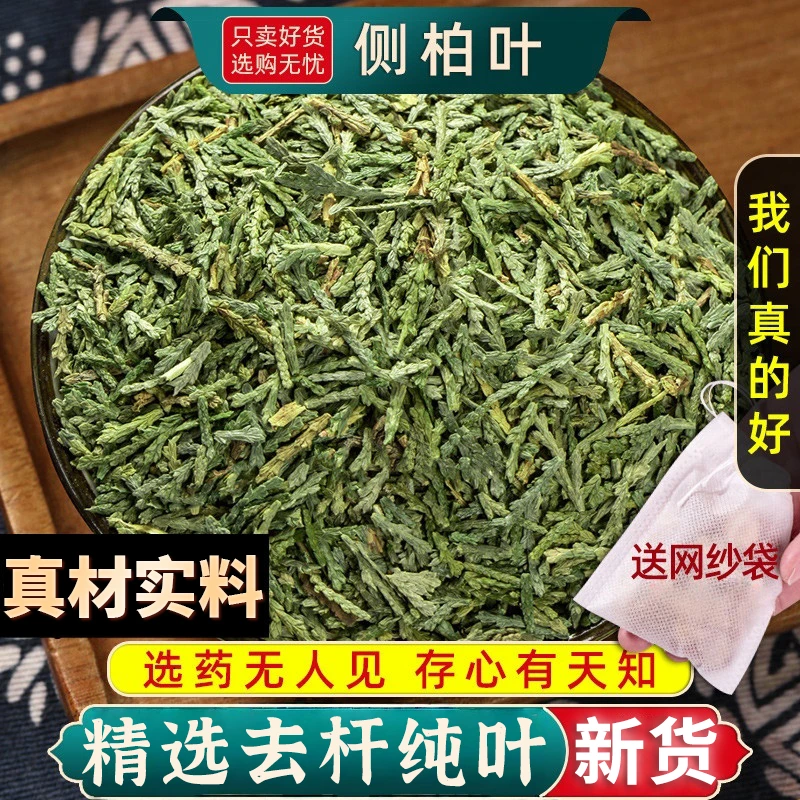 侧柏叶正品侧柏叶新鲜柏树叶洗头包侧柏叶干侧柏叶粉原料
