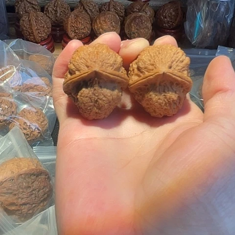 把件文玩核桃朱雀带彩磕尖38+