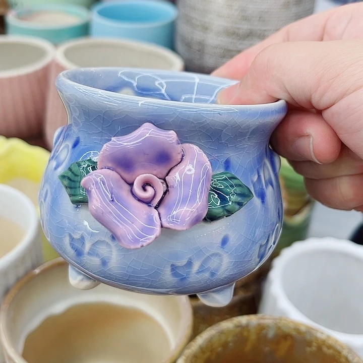 多肉植物陶瓷花盆