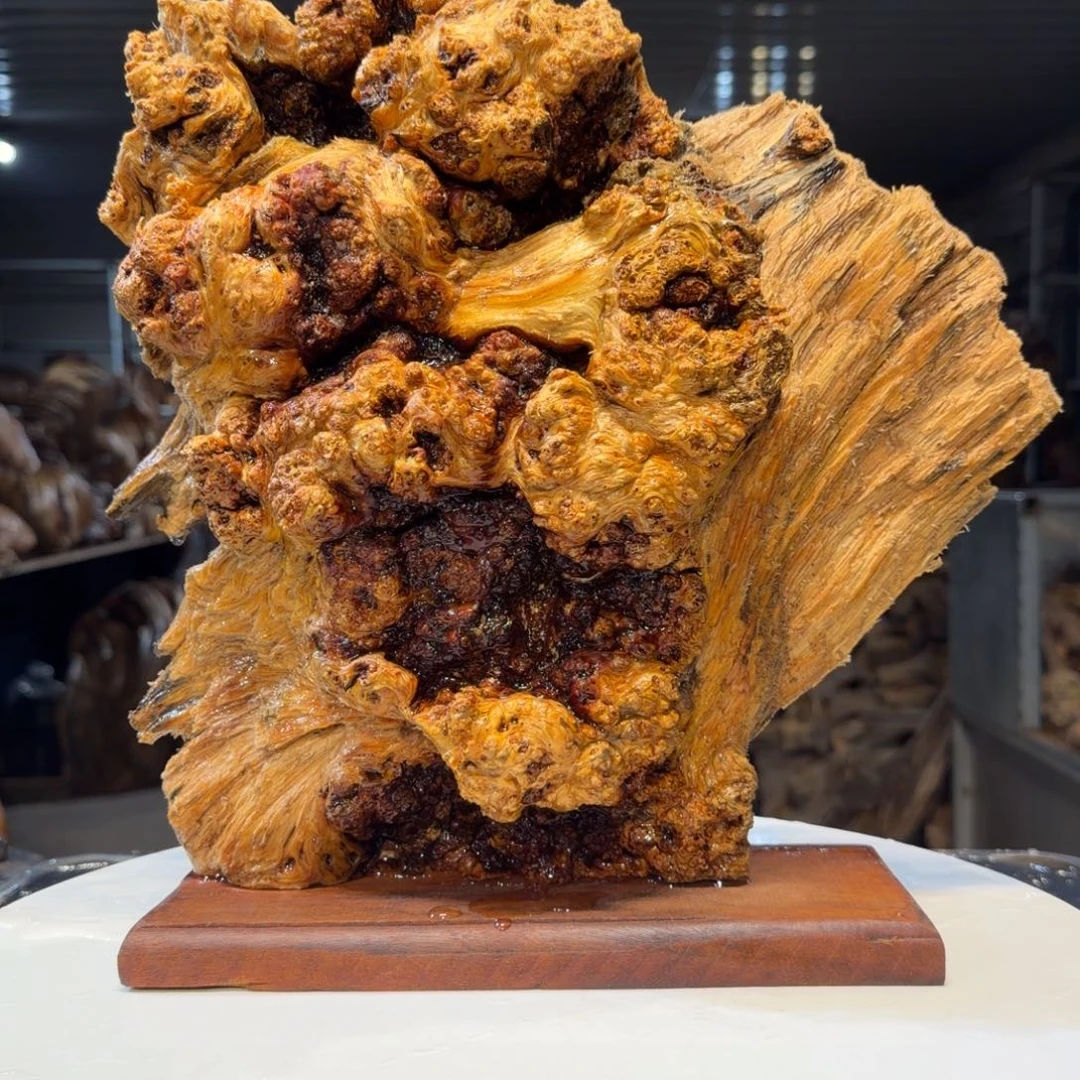 小***鱼木王一刀琥珀木摆件119