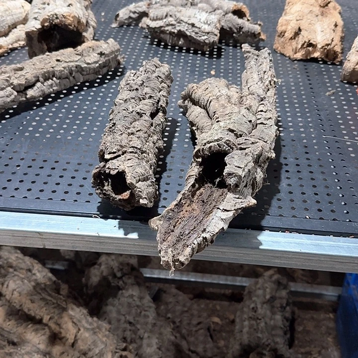 一****完全开放一物一拍一物一发