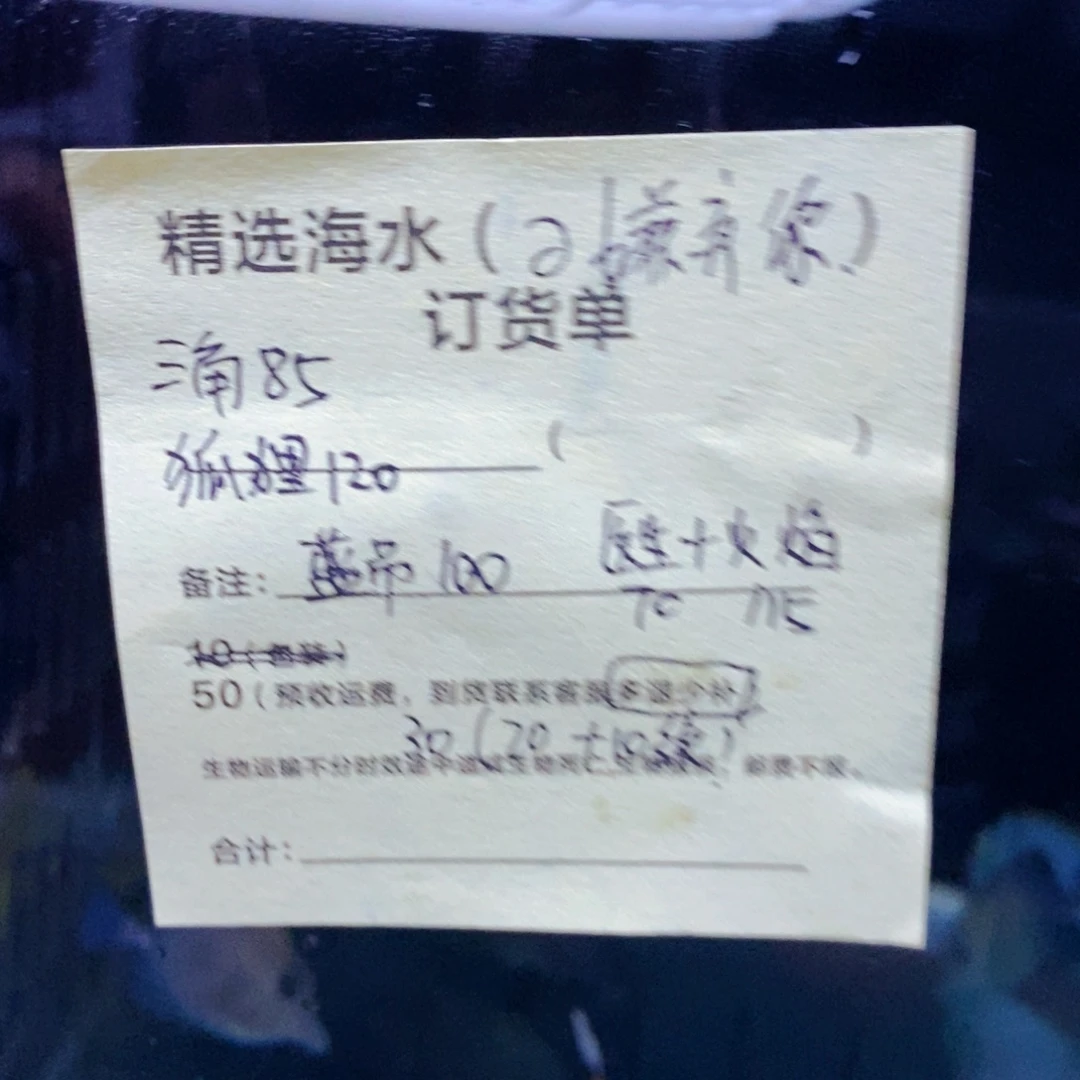 海水鱼三角➕狐狸➕蓝吊➕医生➕火焰➕续重10