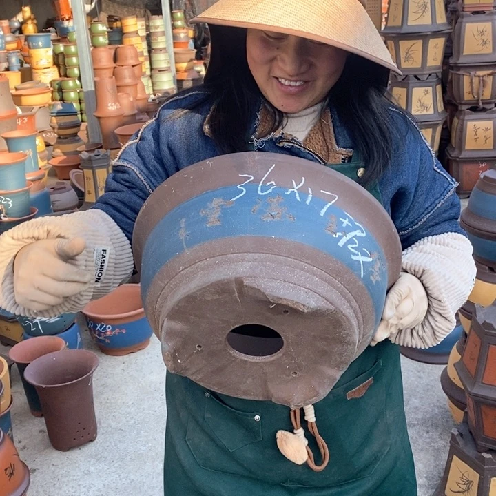 紫砂花盆盆栽花卉苗木种植