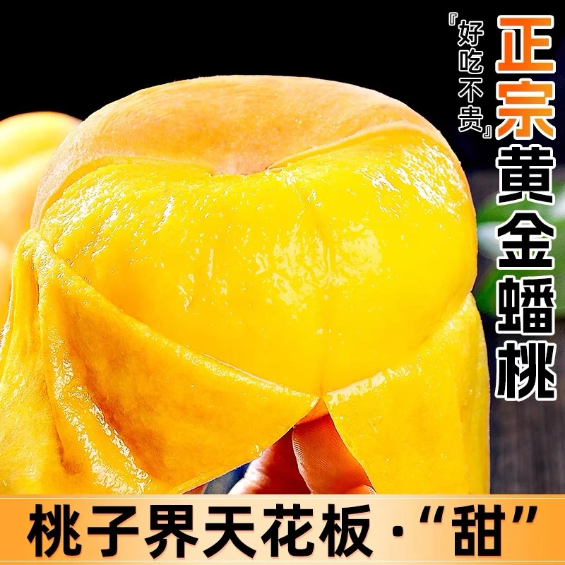 蒙阴正宗黄金毛蟠桃现摘现发夏日应季水果皮薄甜嫩多汁扁桃子