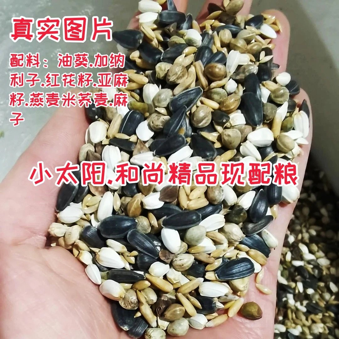 精品小太阳和尚鹦鹉混合粮鸟食麻子鸟料仓鼠中型鸟饲料玄凤颗粒粮