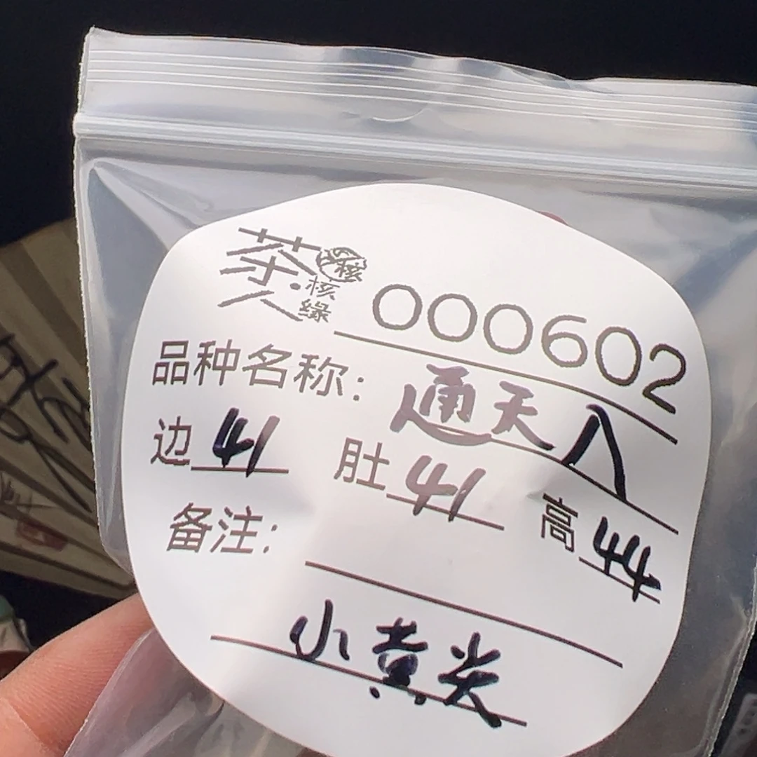吊坠文玩核桃今天