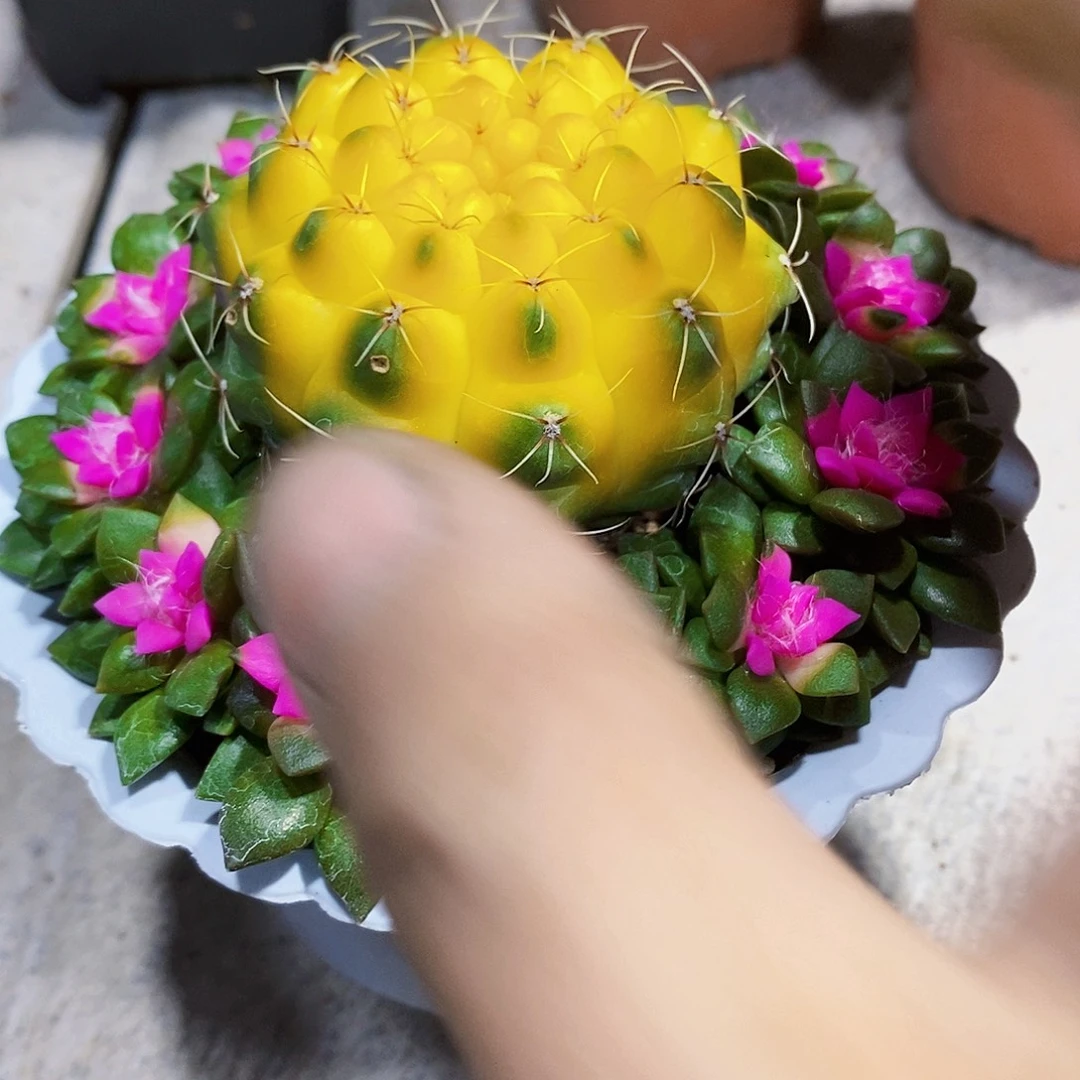 菲花溪1111111111111111个