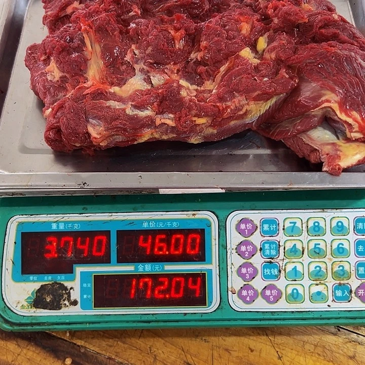 广西土耕马马肉、沙姜炒马肉中国大陆