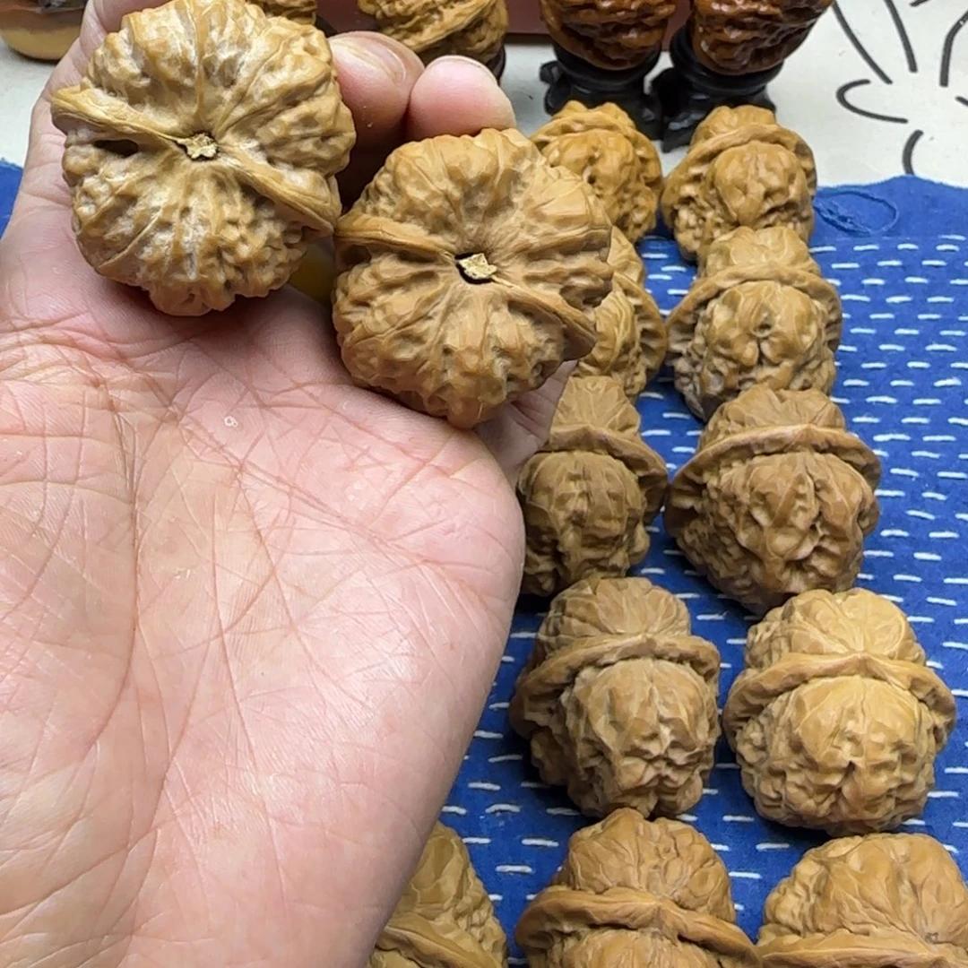 核桃蛤蟆头精配对