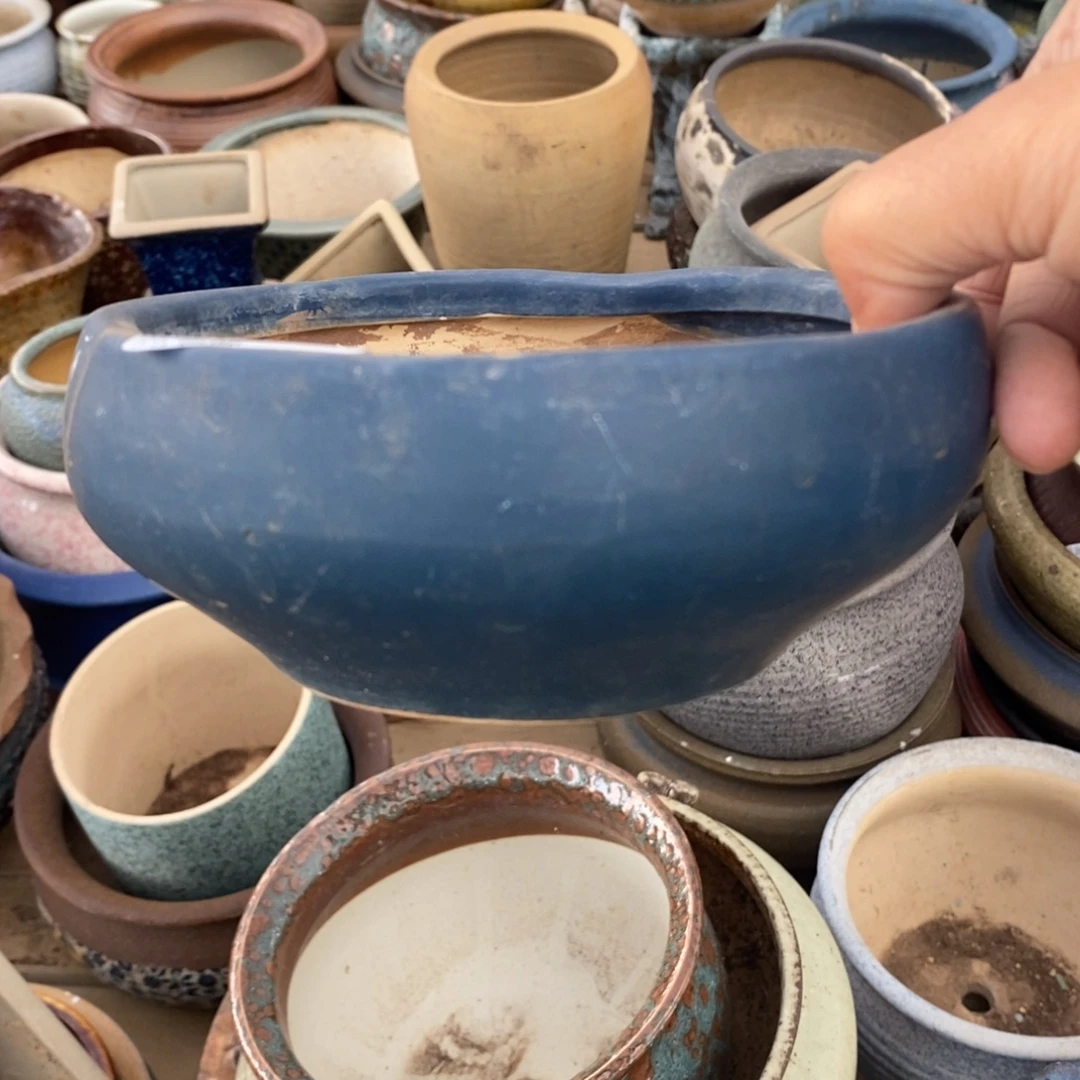 82号多肉盆口径11