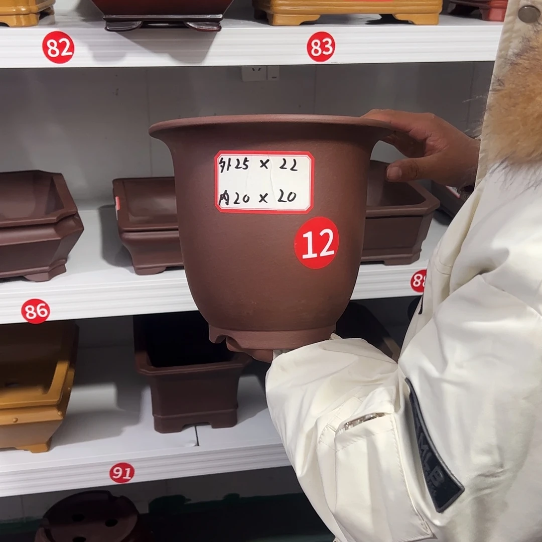 紫砂其他紫砂花盆