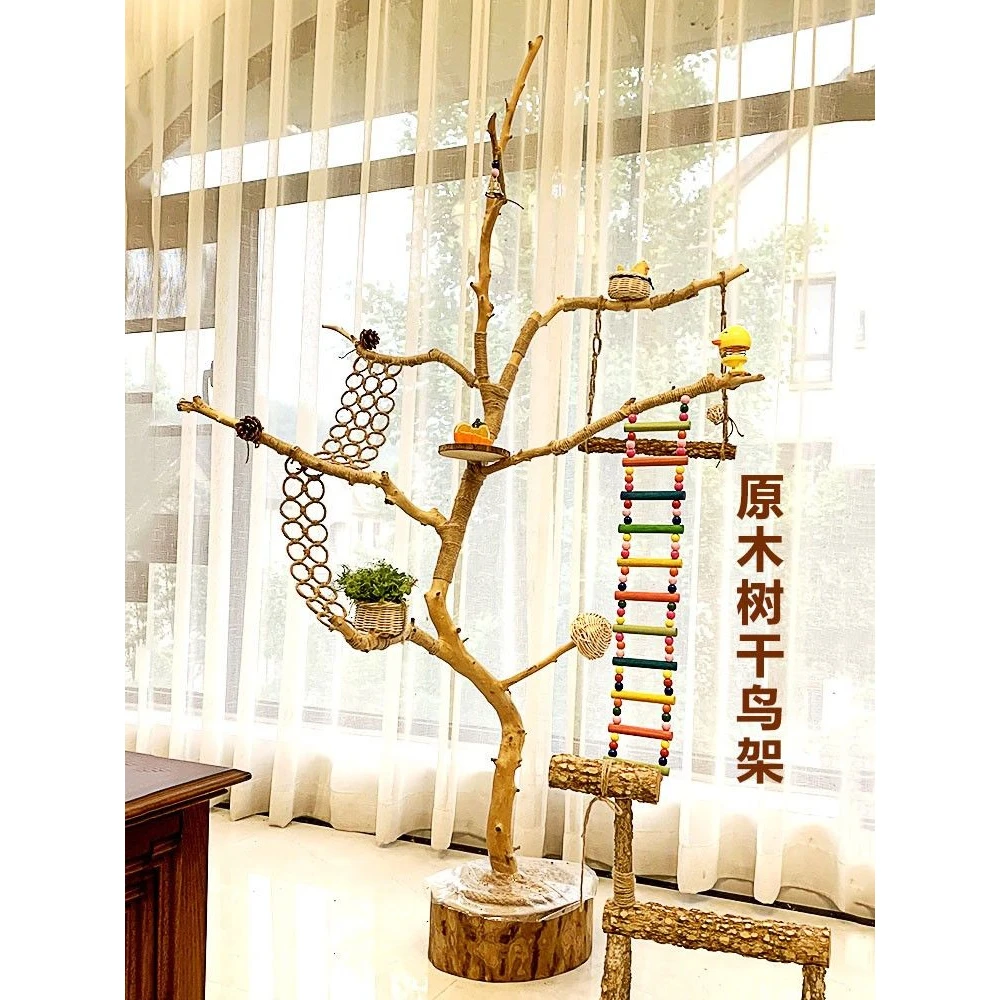 干树枝原木杈干鸟架造型鹦鹉站架艺术干枝枯木树干架吊顶龙骨装饰