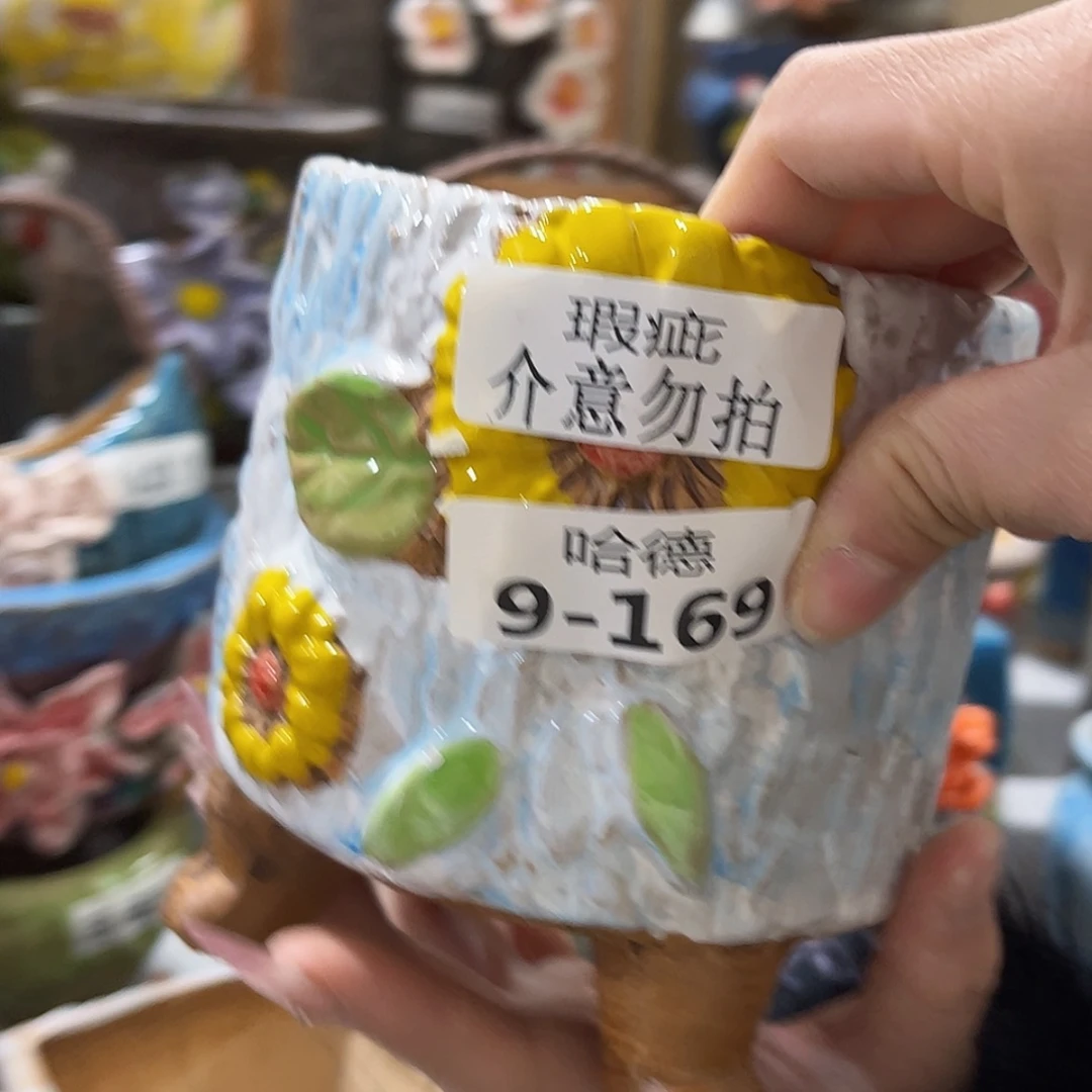 【闪购商品】红陶瑕疵9169