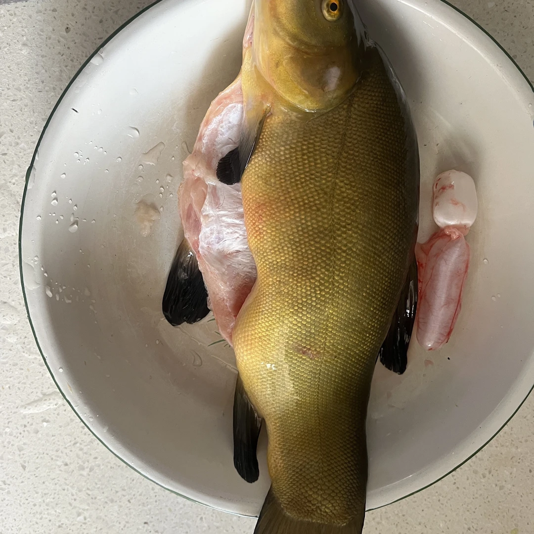 黑龙江野生丁桂鱼口感极佳肉感十足内脏无黑膜水中上品