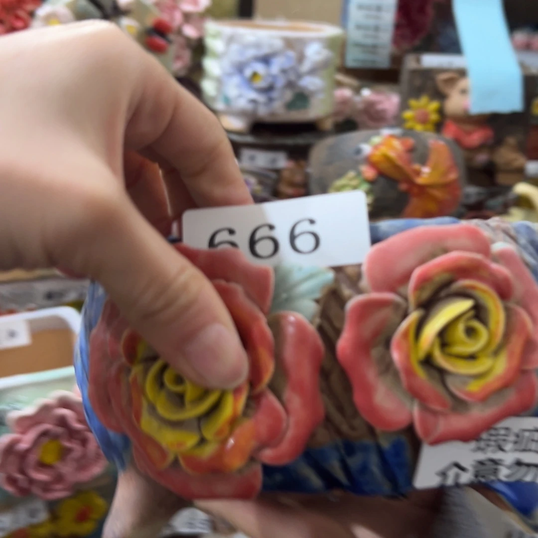 瑕疵666 多肉花盆拍满20包邮爱退款拉黑