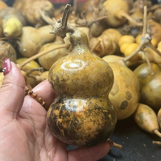 蔚**空葫芦葫芦葫芦葫芦