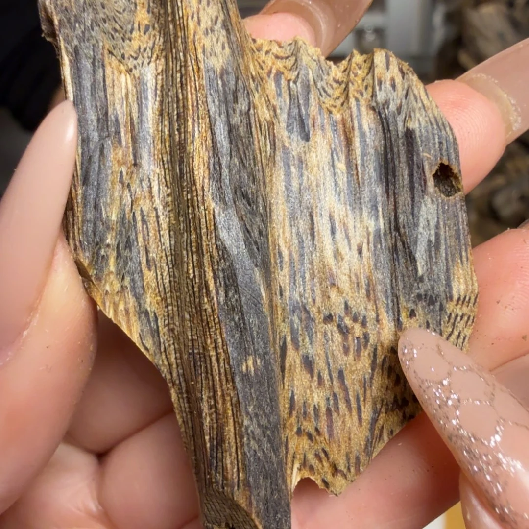 沉香白奇虫漏8.9克