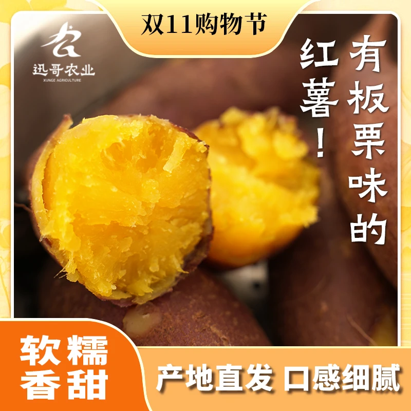 沙地板栗薯易消化软糯香甜绿色新鲜现种现挖现发代餐粗粮