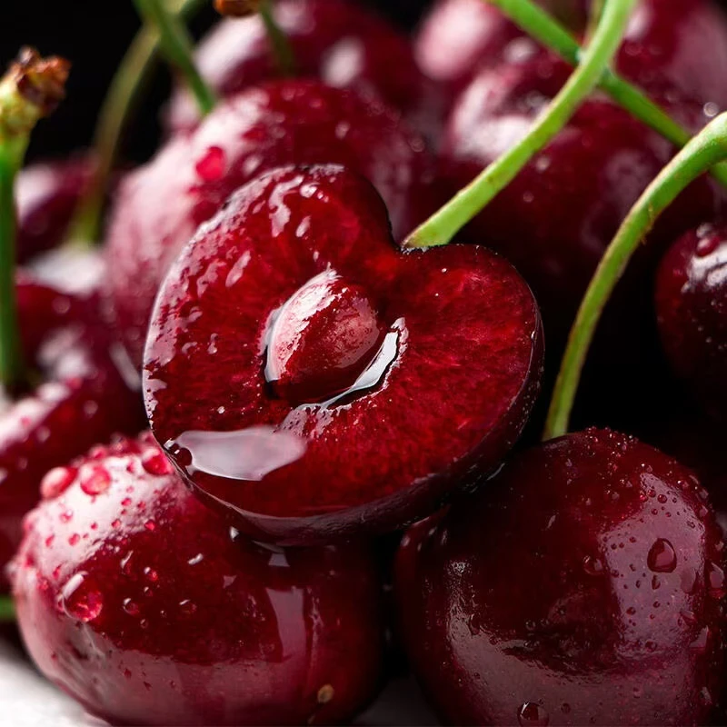 【次日达】精品大连美早樱桃  4J/5J/6J 【精美塑料小红礼盒装】2.4斤装【净重1.8斤】 新鲜采摘鲜甜爆汁美早樱桃
