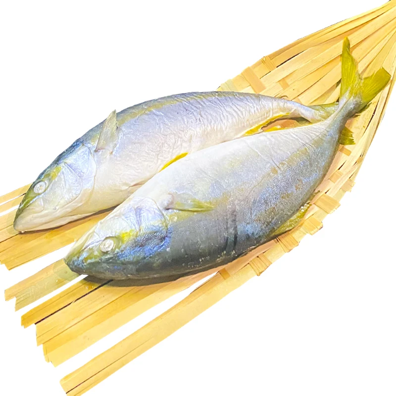 潮汕黄狮鱼饭鱼打冷鱼饭甘鱼鱼饭竹筐现做鲜甜