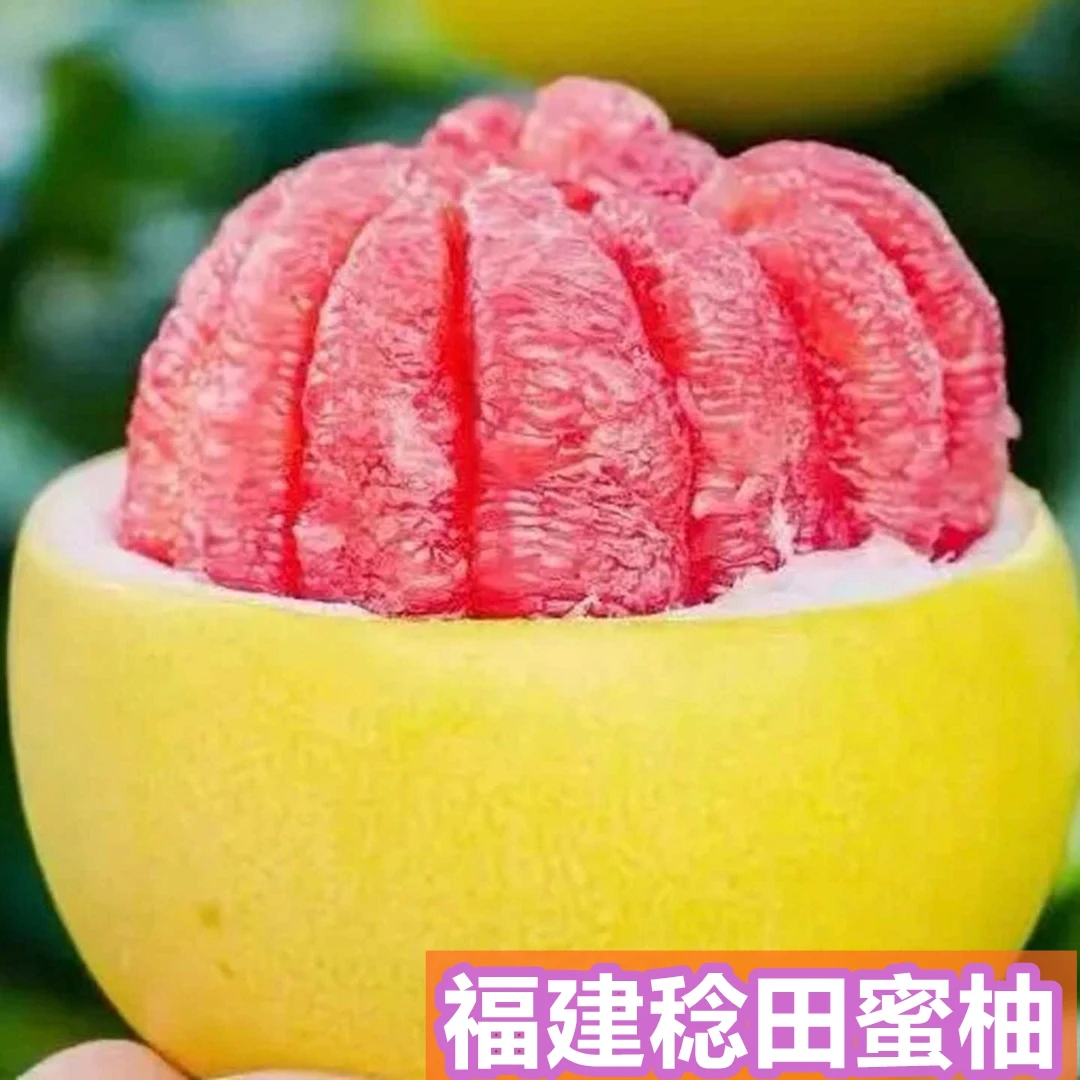 福建上杭稔田镇红肉蜜柚现摘薄皮爆汁甜润水果,产地直发,现摘现发